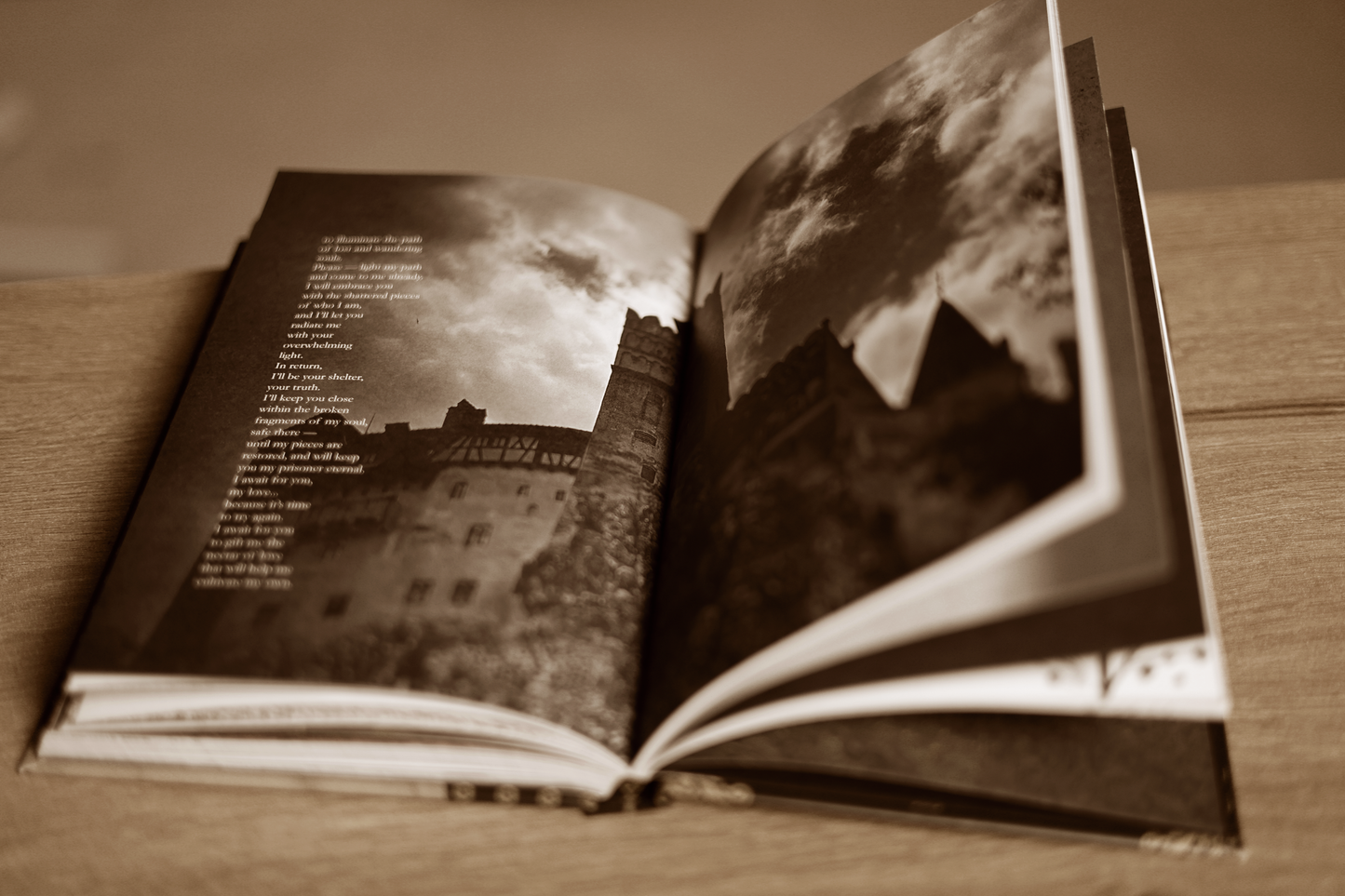 The Elegy of an Erupting Spirit by Paul Damian - Signed Bundle