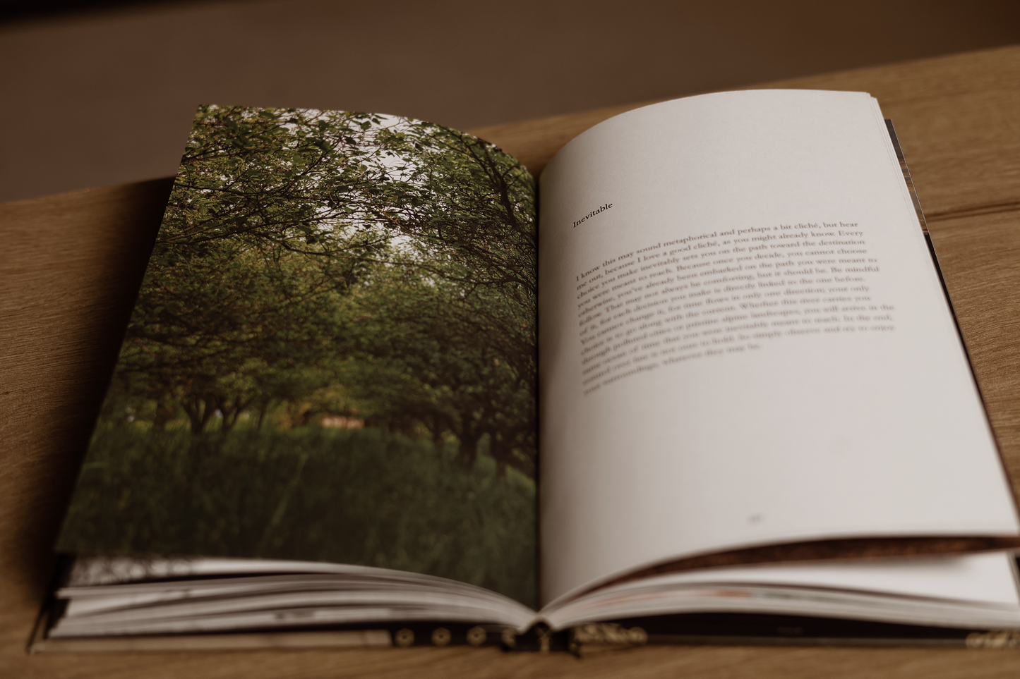 The Elegy of an Erupting Spirit by Paul Damian - Signed Bundle